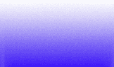 How Professional Translation Services Support Multilingual Political Communication